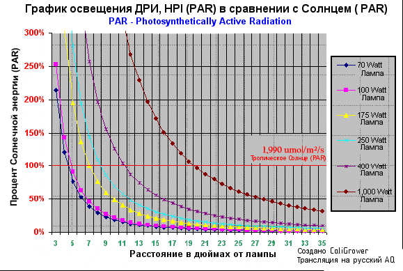 Irradiance Graph Of Metal Halide (PAR) Vs Sun (PAR)