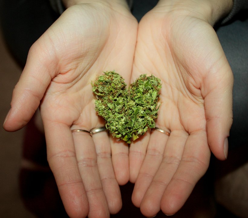 Jack Herrer