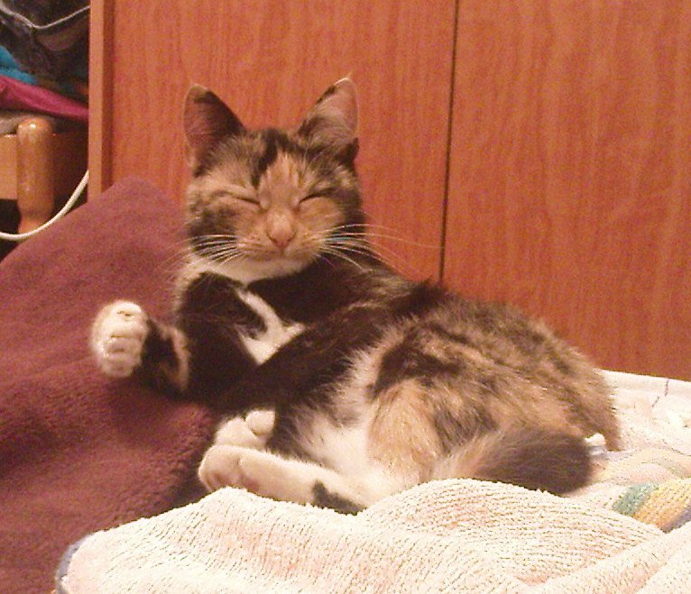 Клёпа))