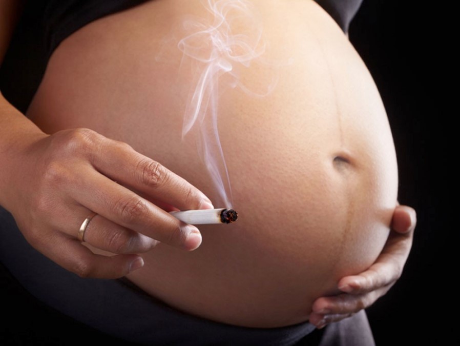 Конопля – понижает уровень сперматозоидов