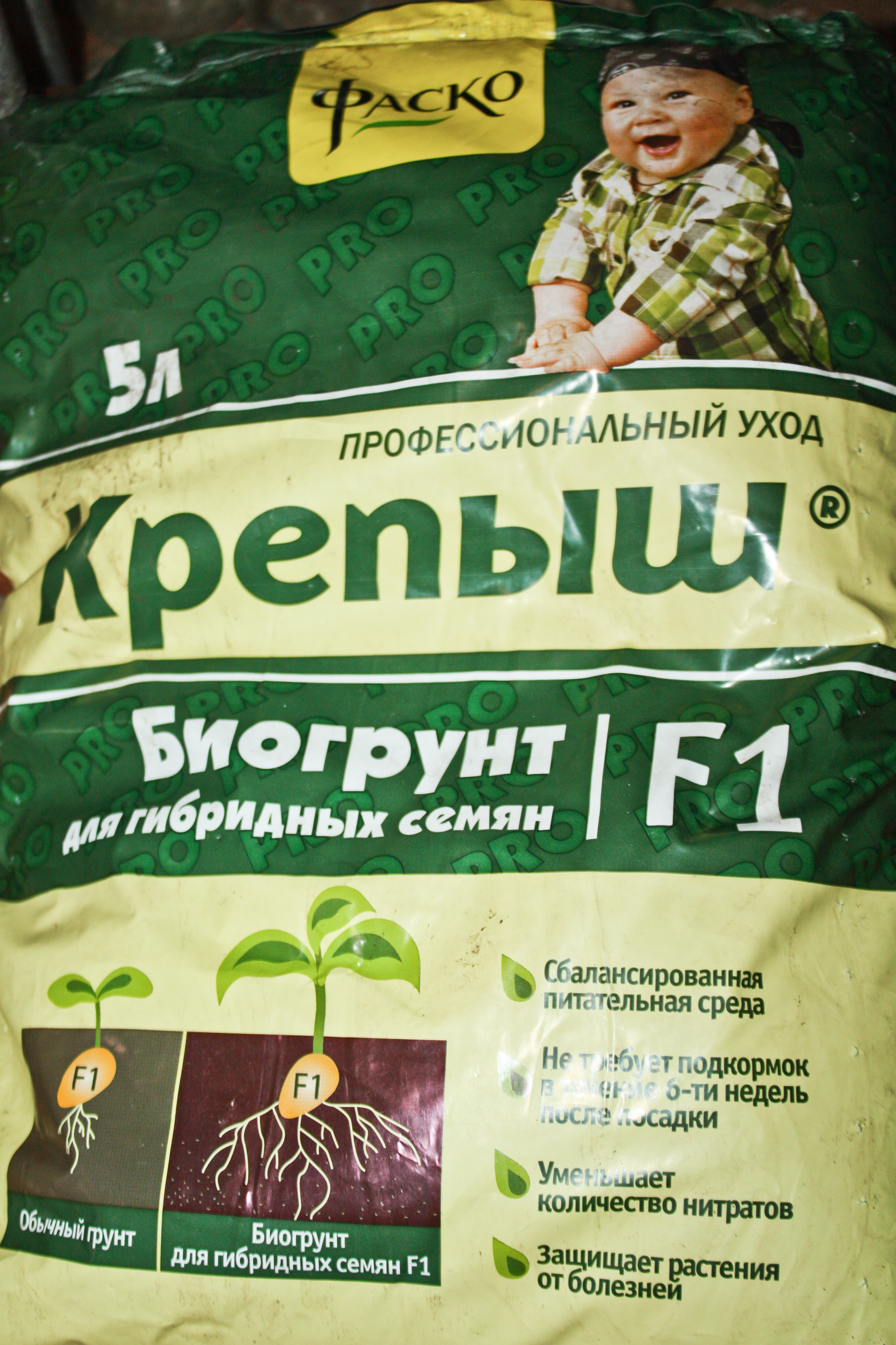 Крепыш Ф1