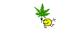 lalalaweed