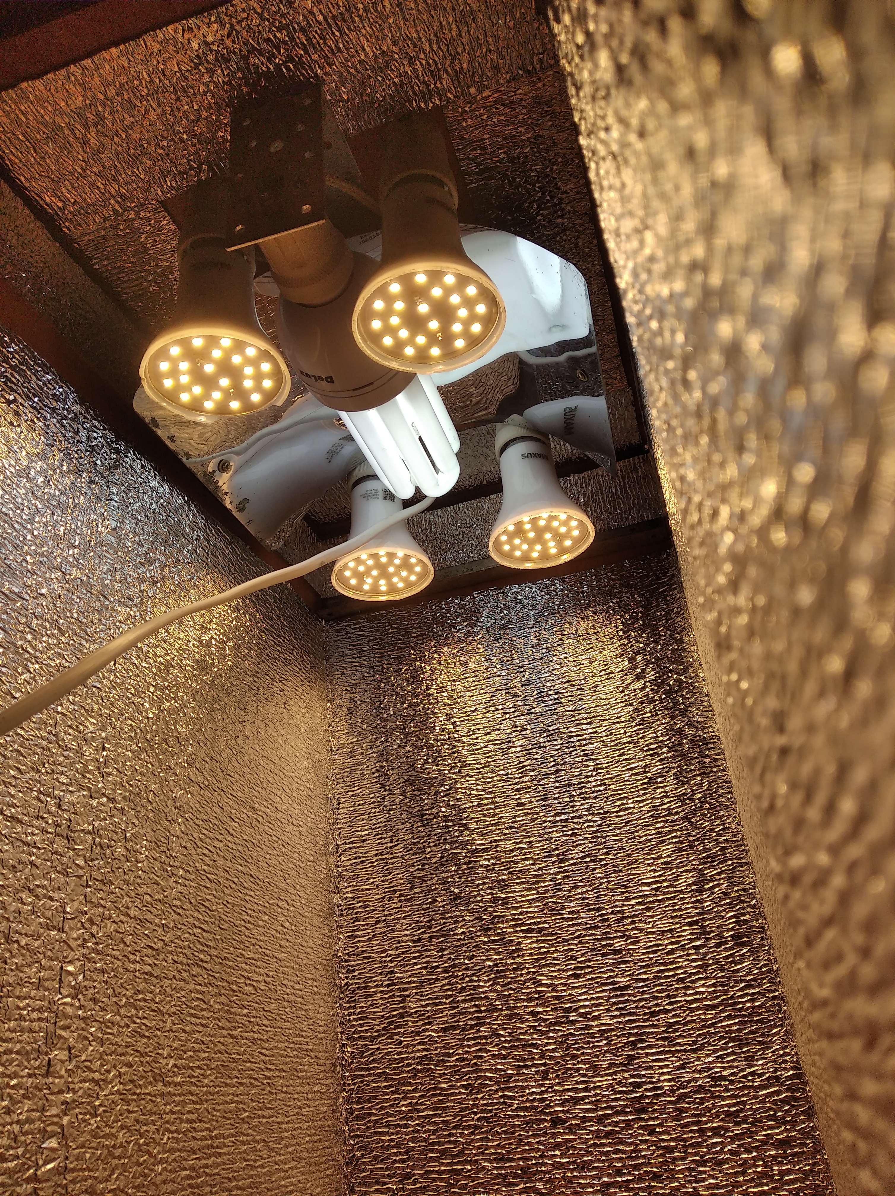 LED-ESL_LAMPS.jpg