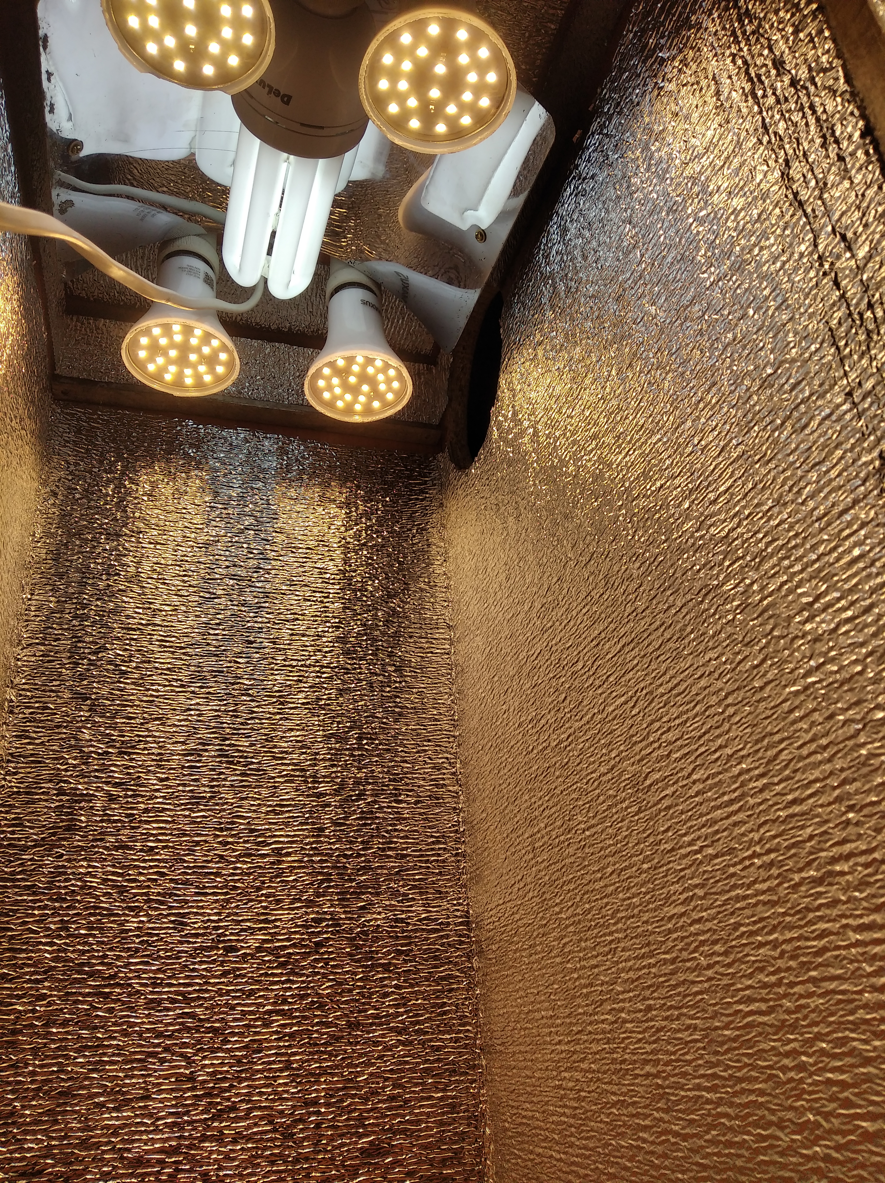 LED-ESL_LAMPS2.jpg