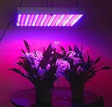 ledwiki2