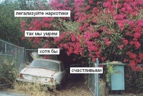 Лигализуйте коноплю.