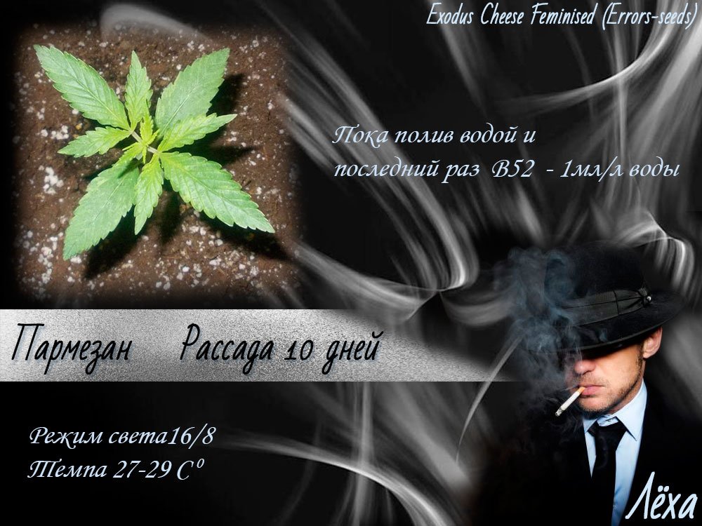 Лёха (2)