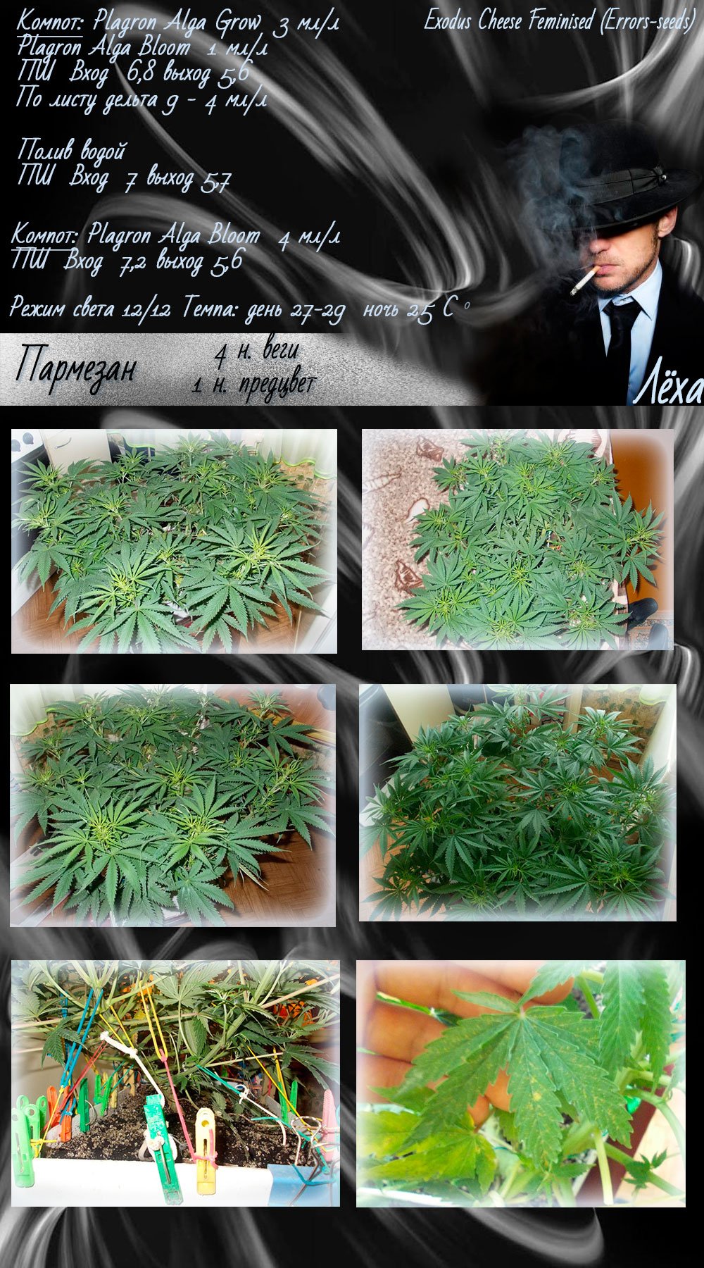 Лёха 4нв1пр (1)