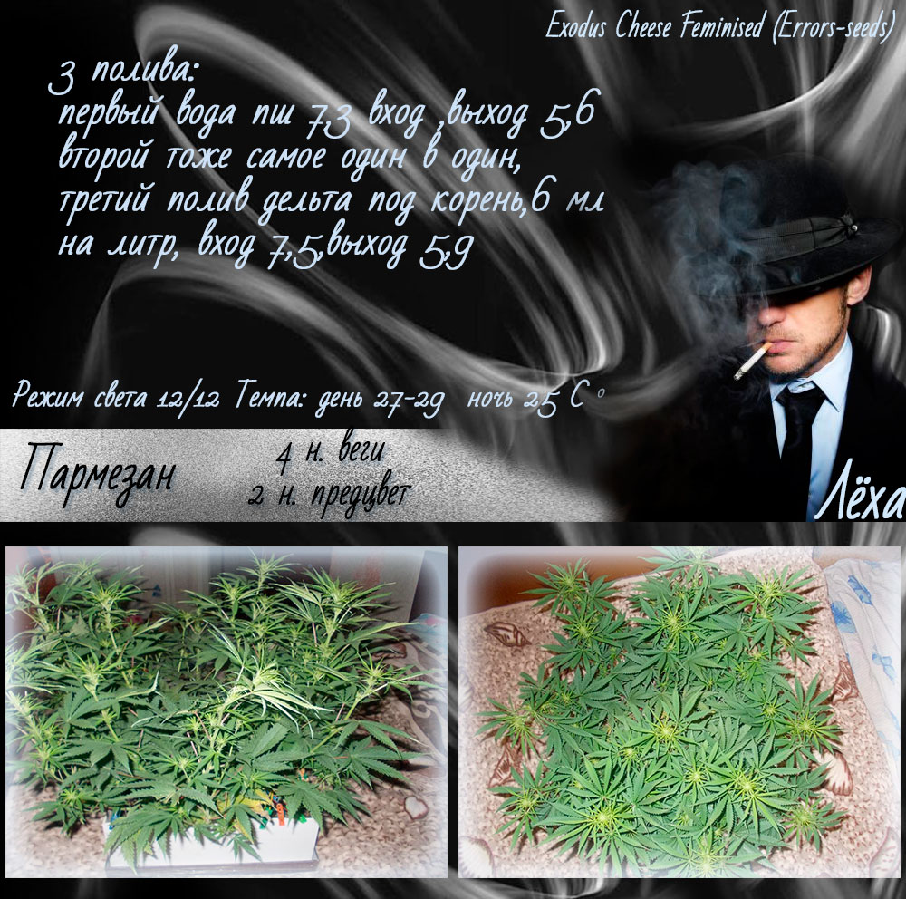 Лёха 4нв2пр1 (1)