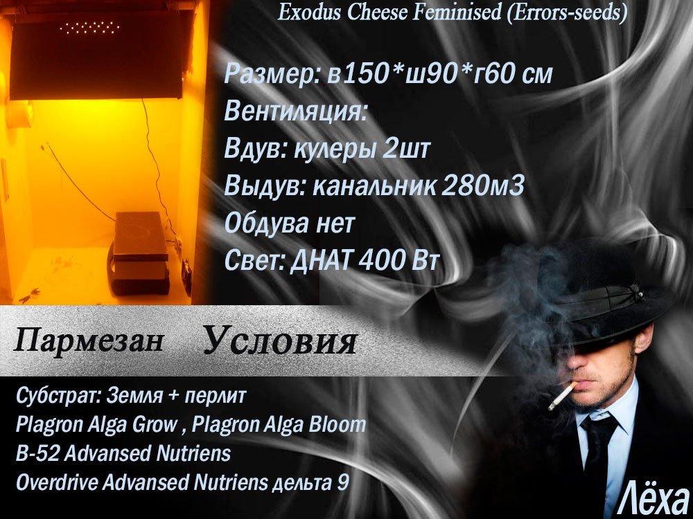 Лёха