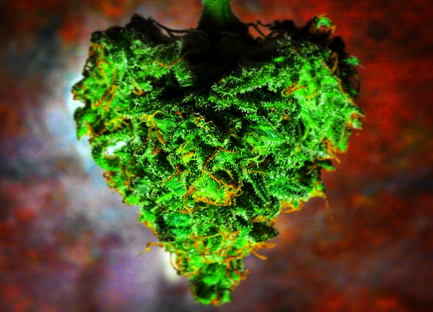Love ))
