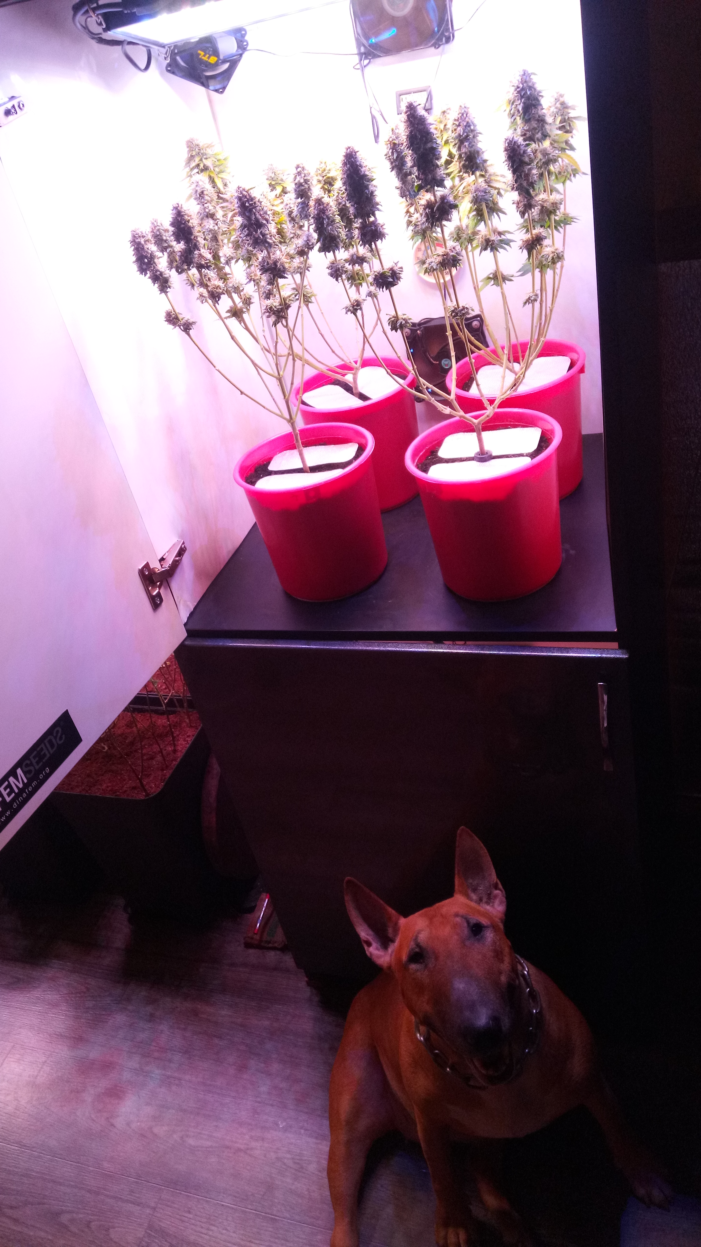Matador 10 week 1