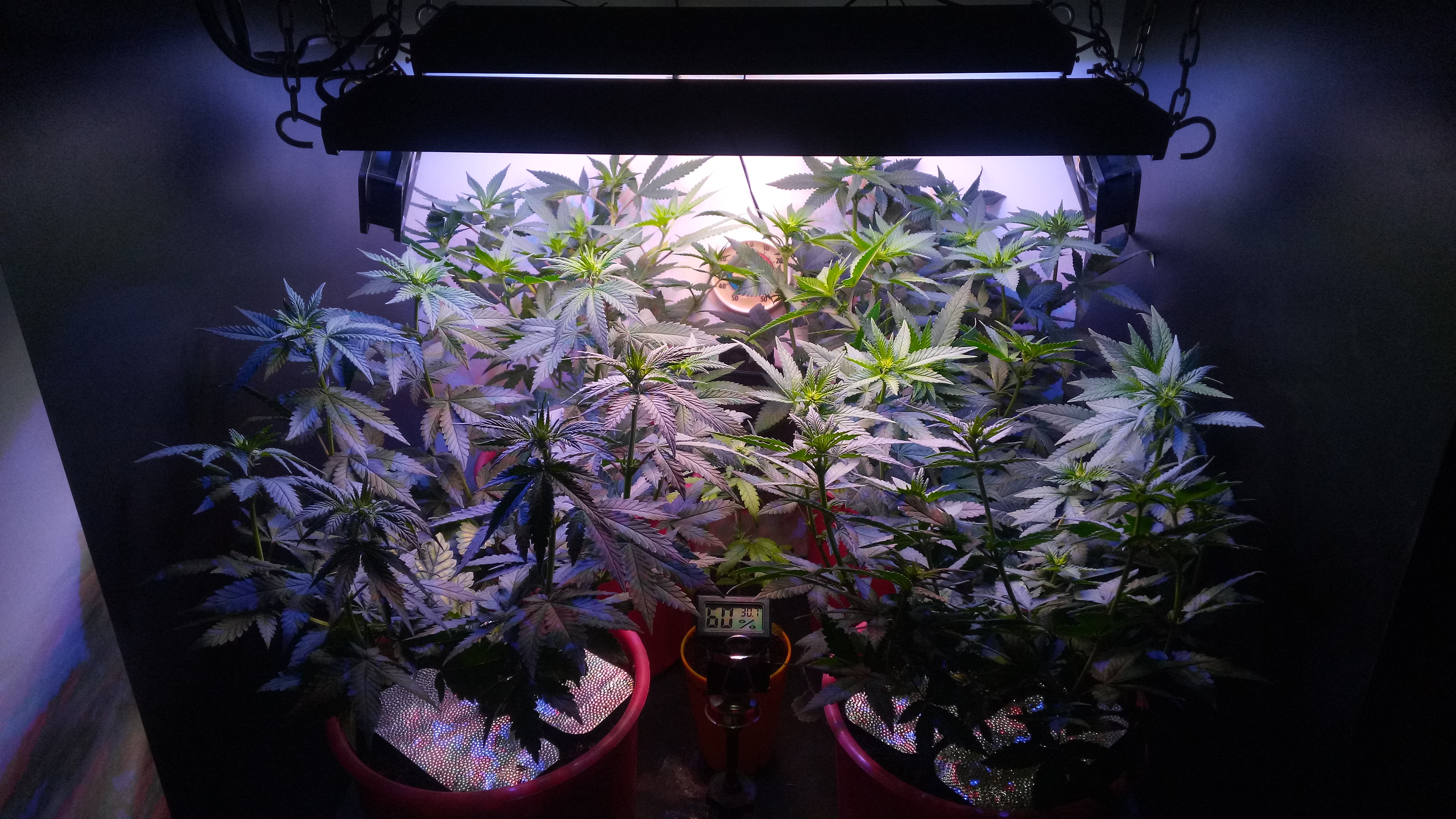 Matador 4x in 3L