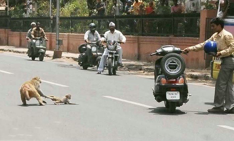 meanwhile In india 07