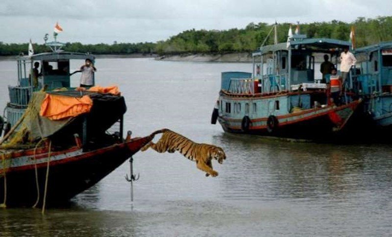 meanwhile In india 09
