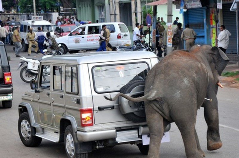 meanwhile In india 22