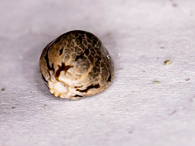 Mon Oct 24 21-53-46.jpg