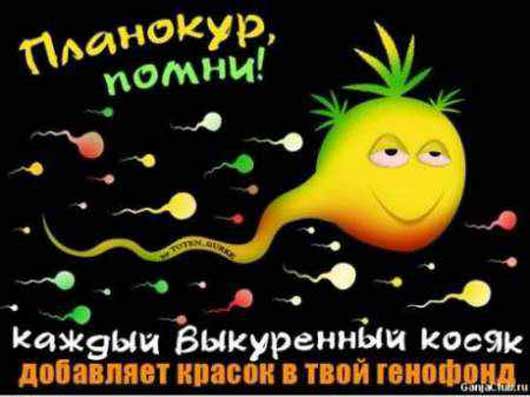 накрыло 4