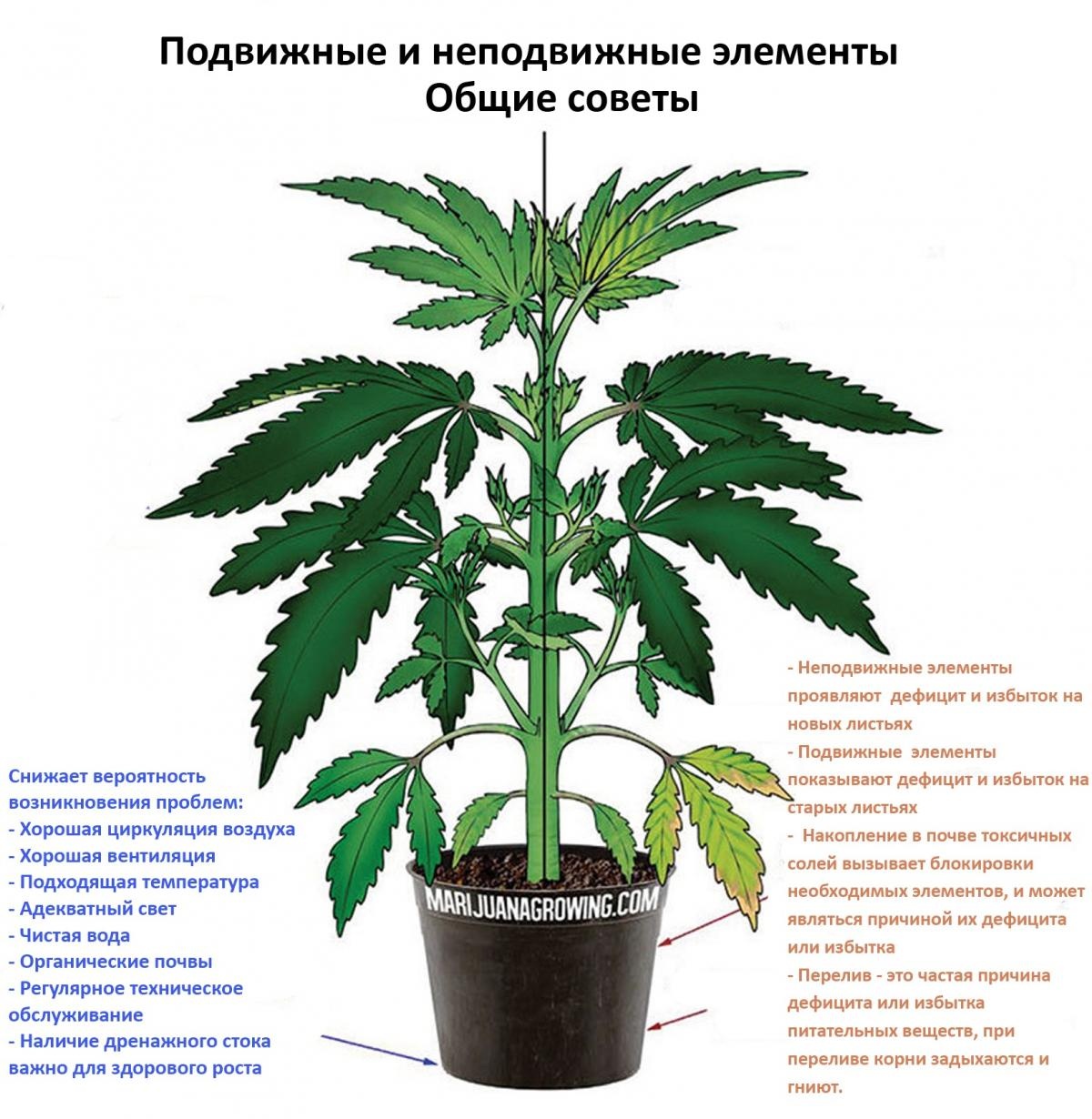 Общие советы