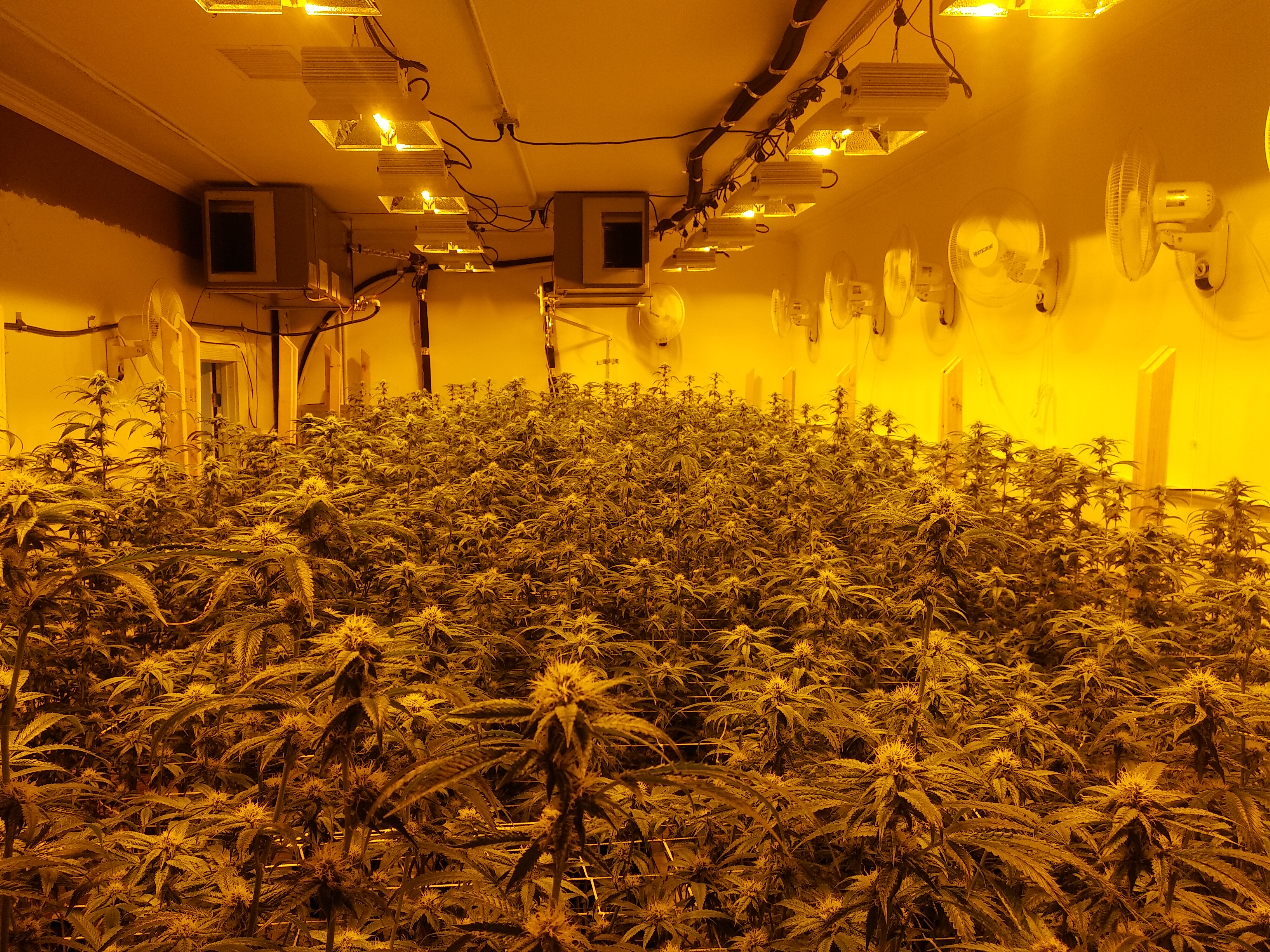 Общий вид GrowRoom №2