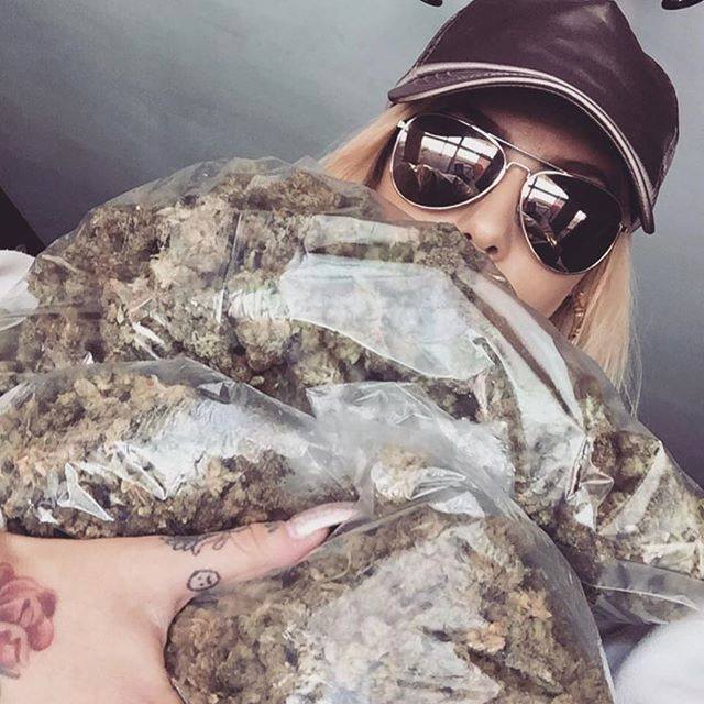 Очень много конопли
