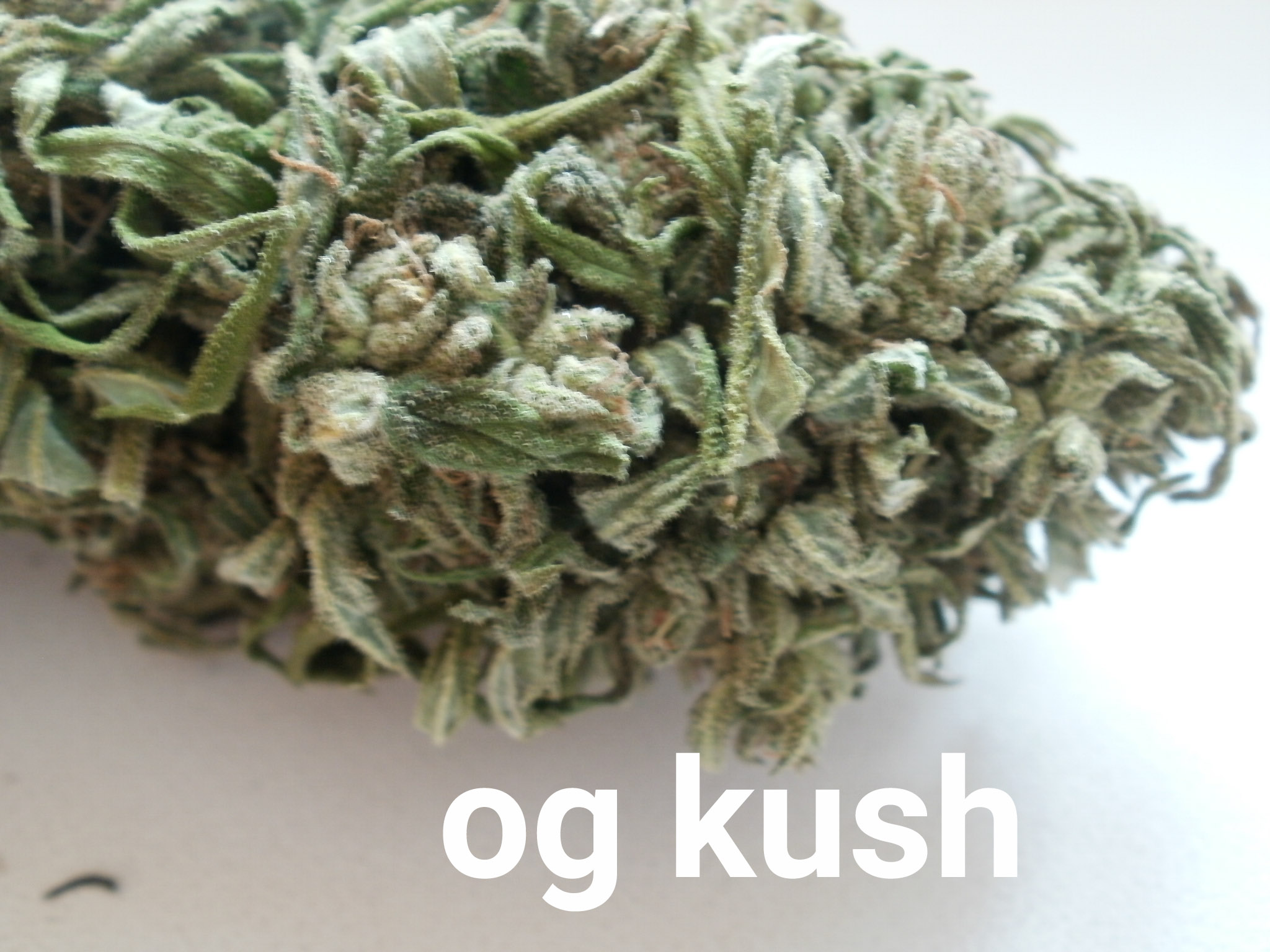Og Kush аутдор