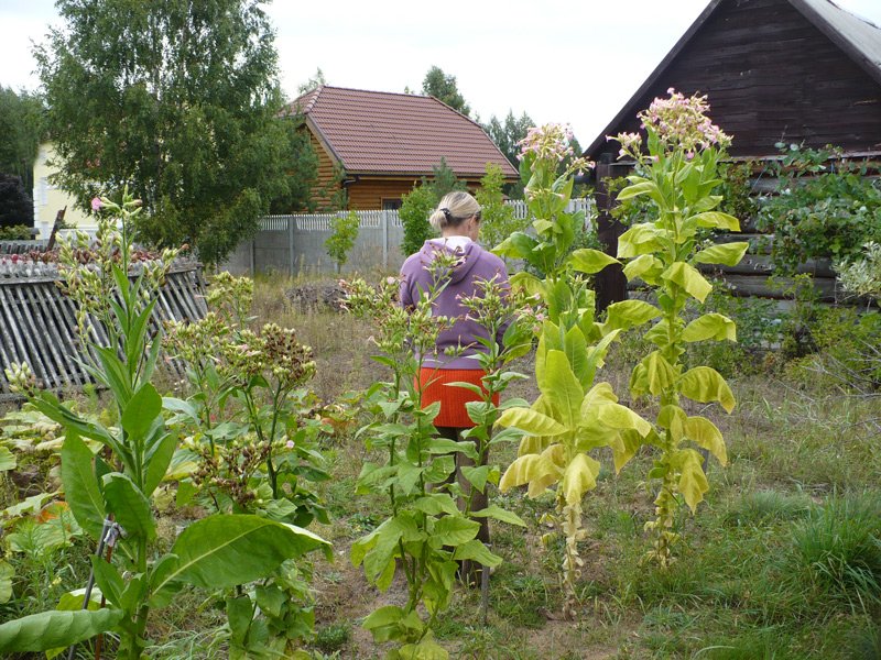 P1070022