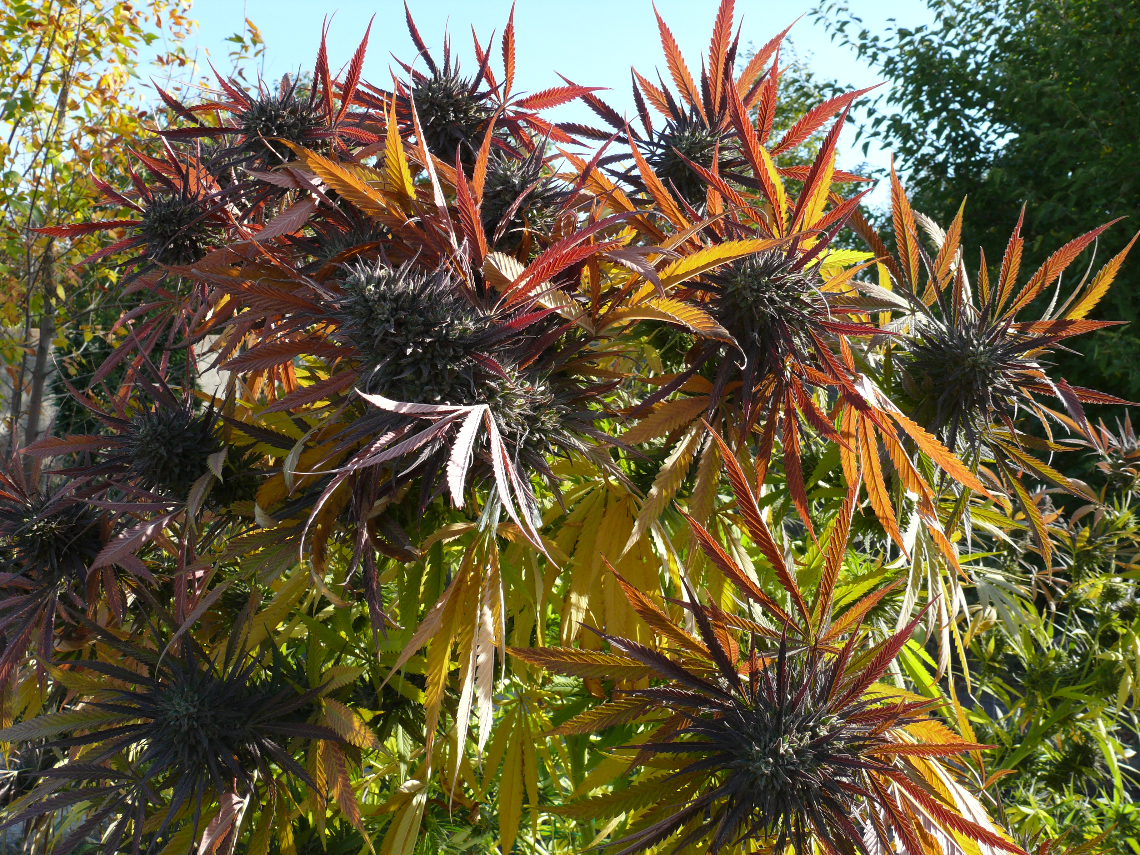 P1250014.JPG