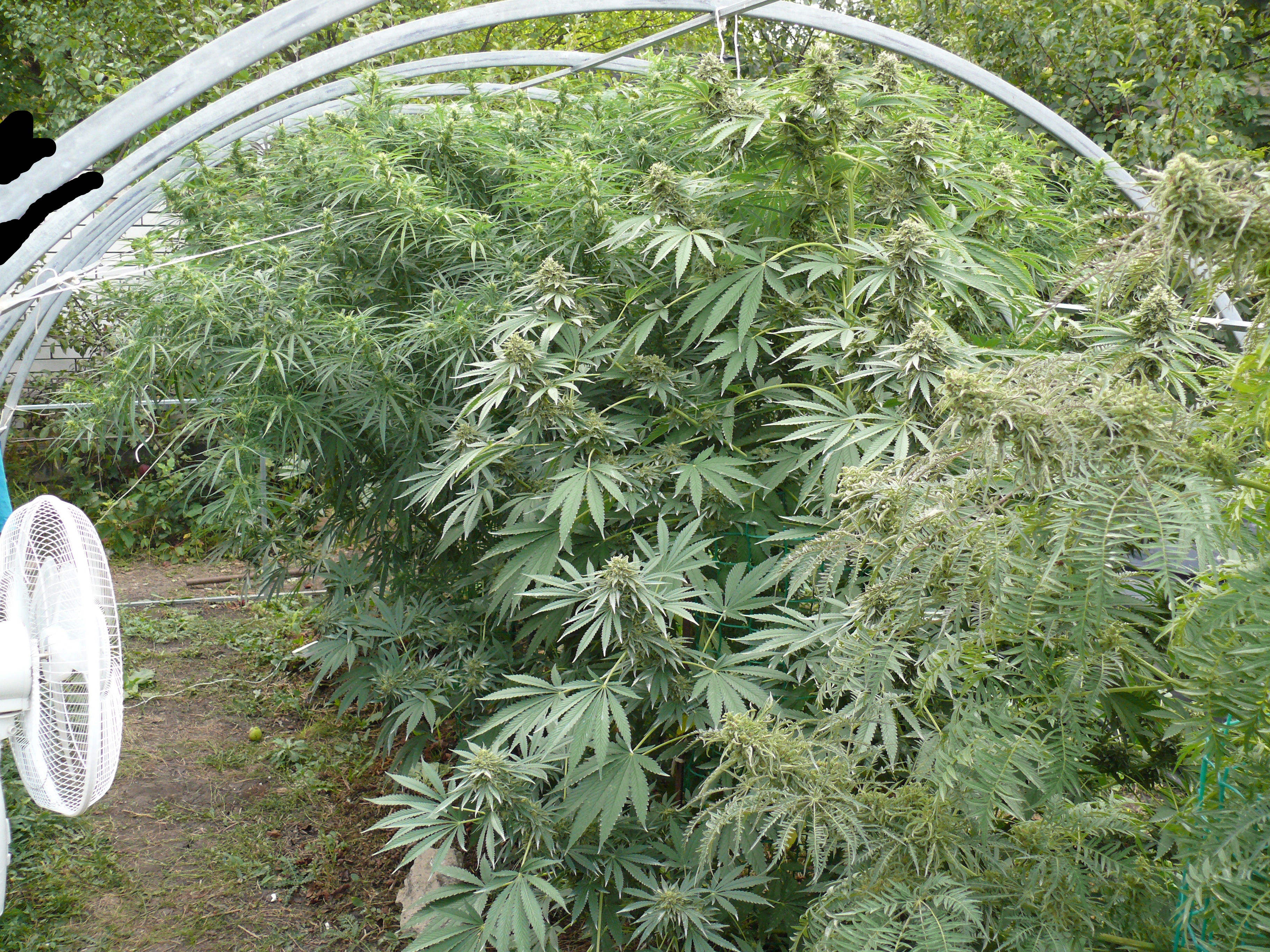 P1250324.JPG
