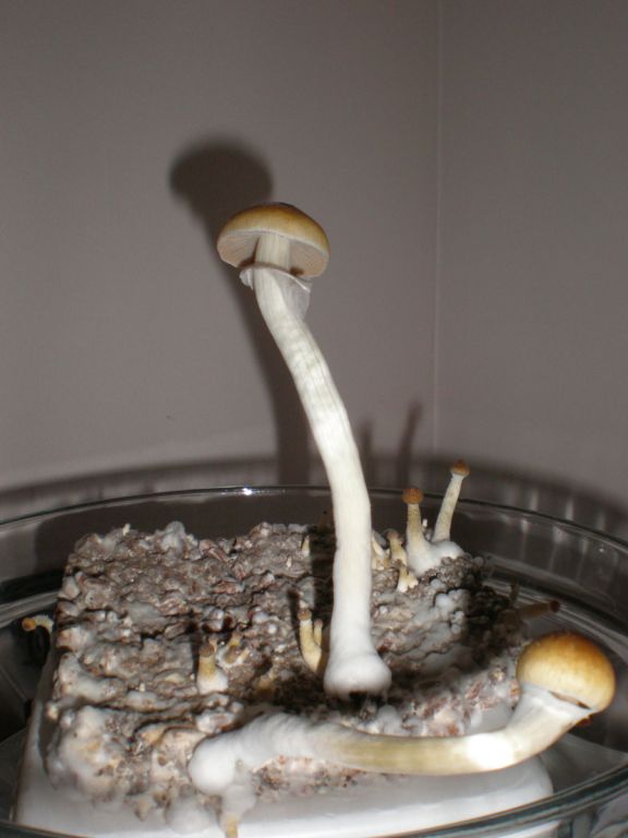 P5100138