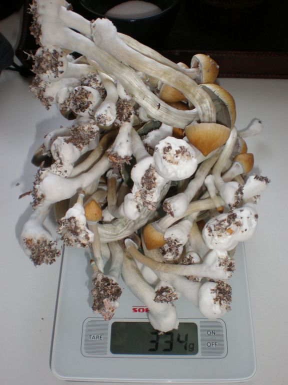 P6010169
