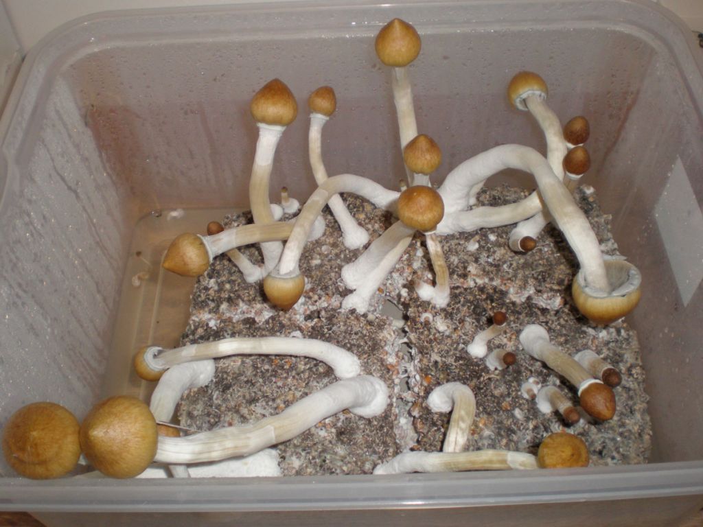 P6120175