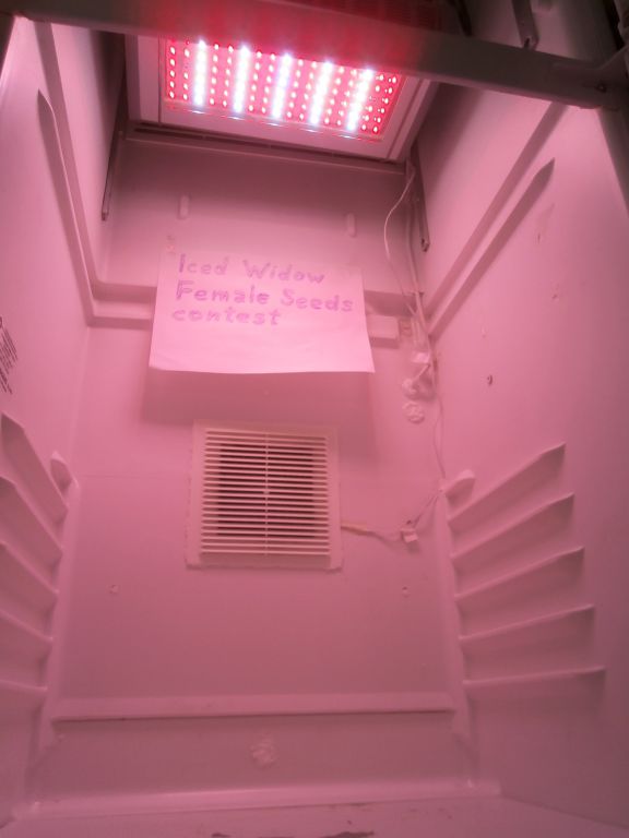 P6230063