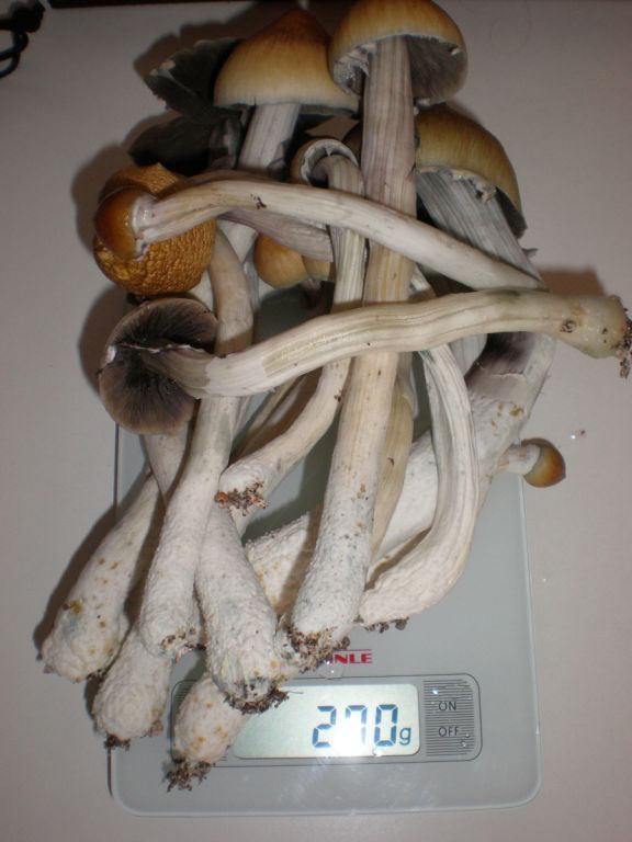 P6230196