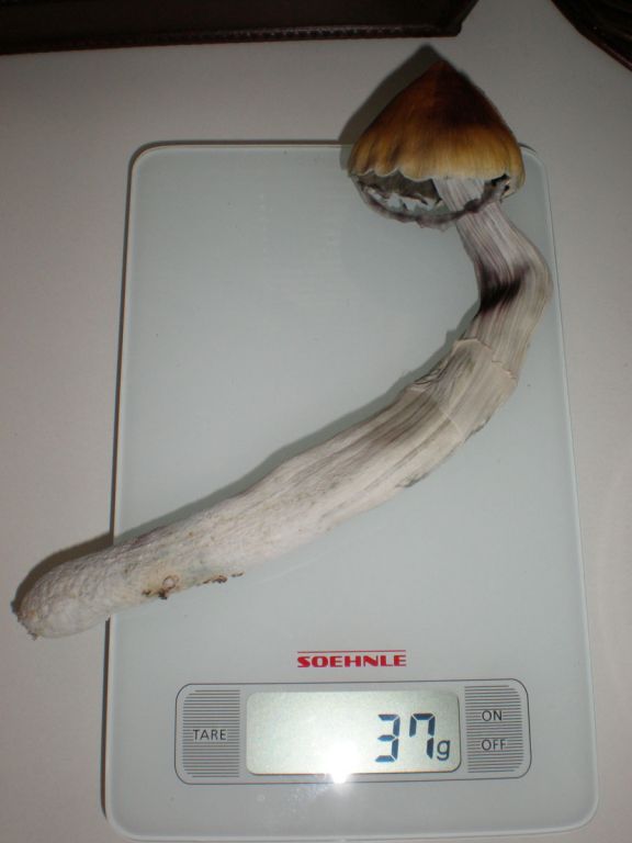 P7060202