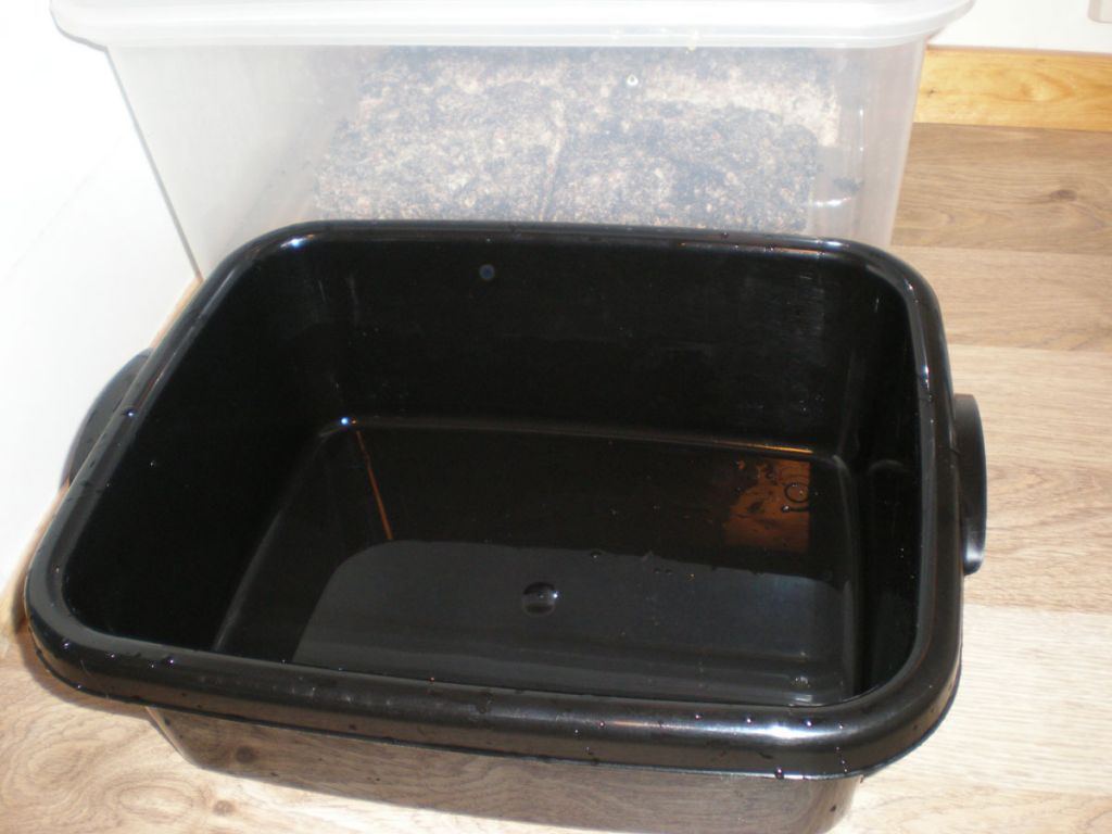 P7200212