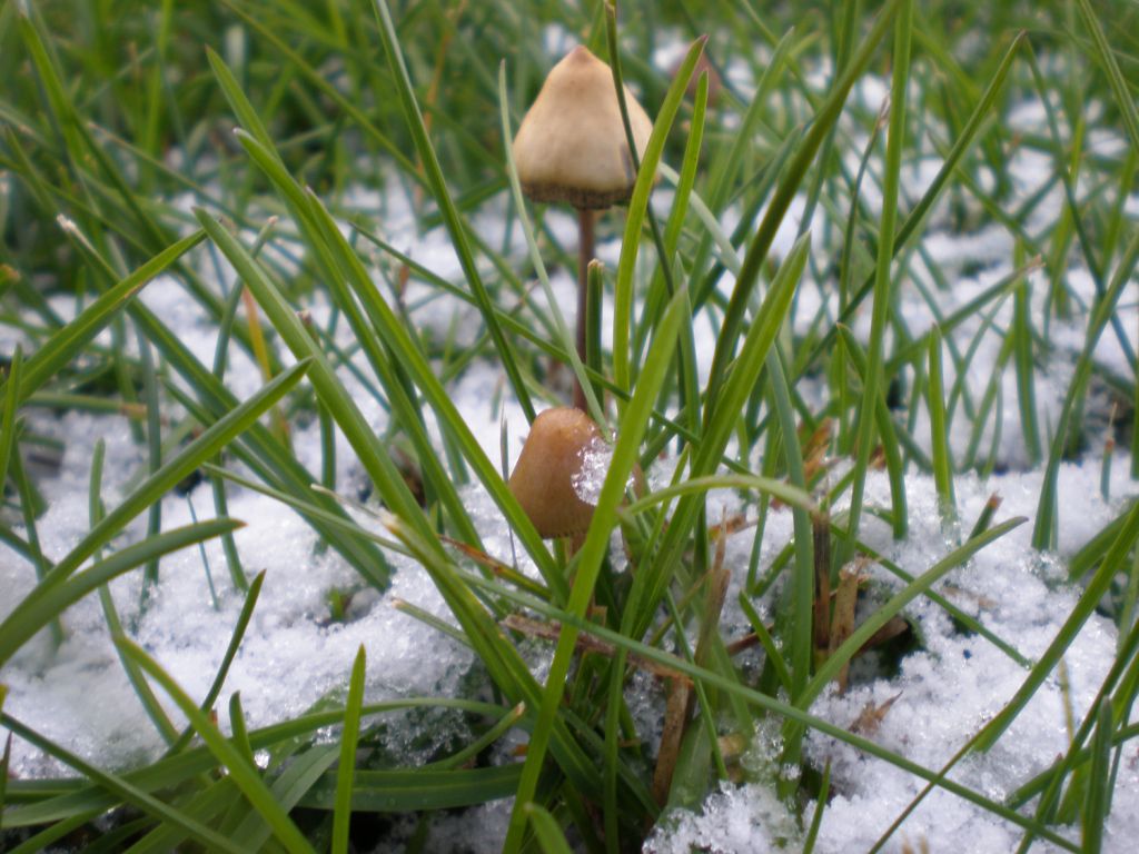 PA050397