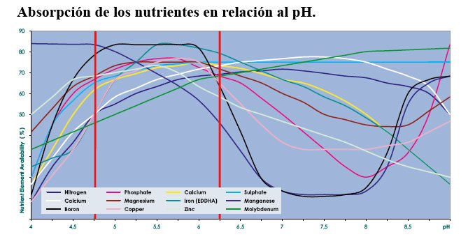 Ph balance