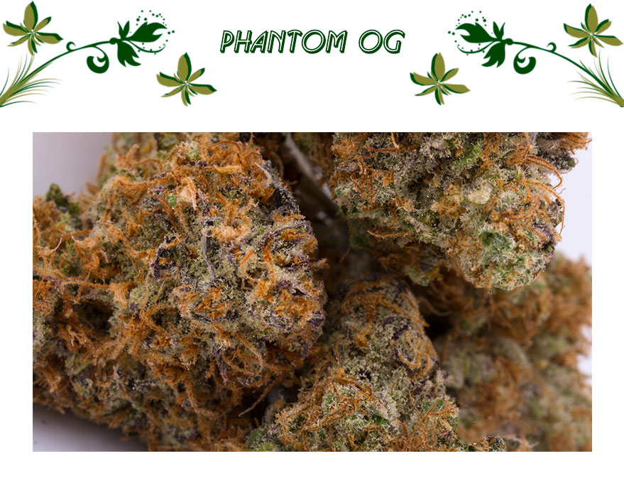 Phantom OG