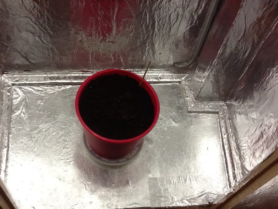 photo1420510547428