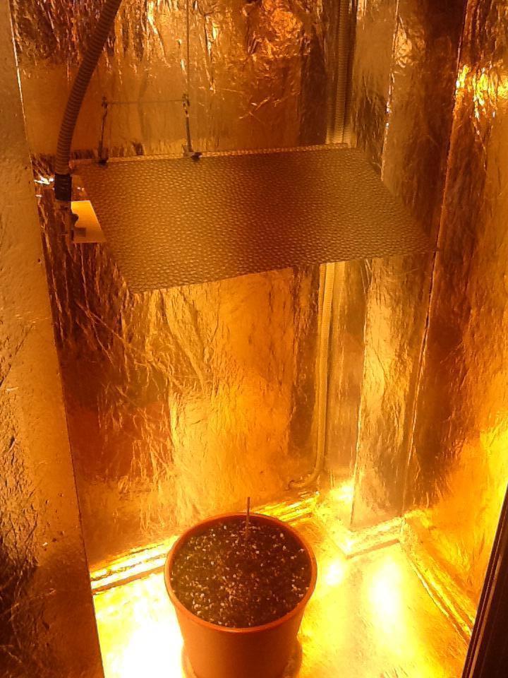 photo1424171066372