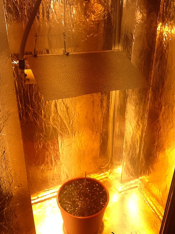 photo1424171066372