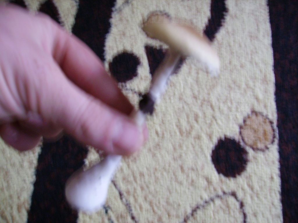 PICT1564