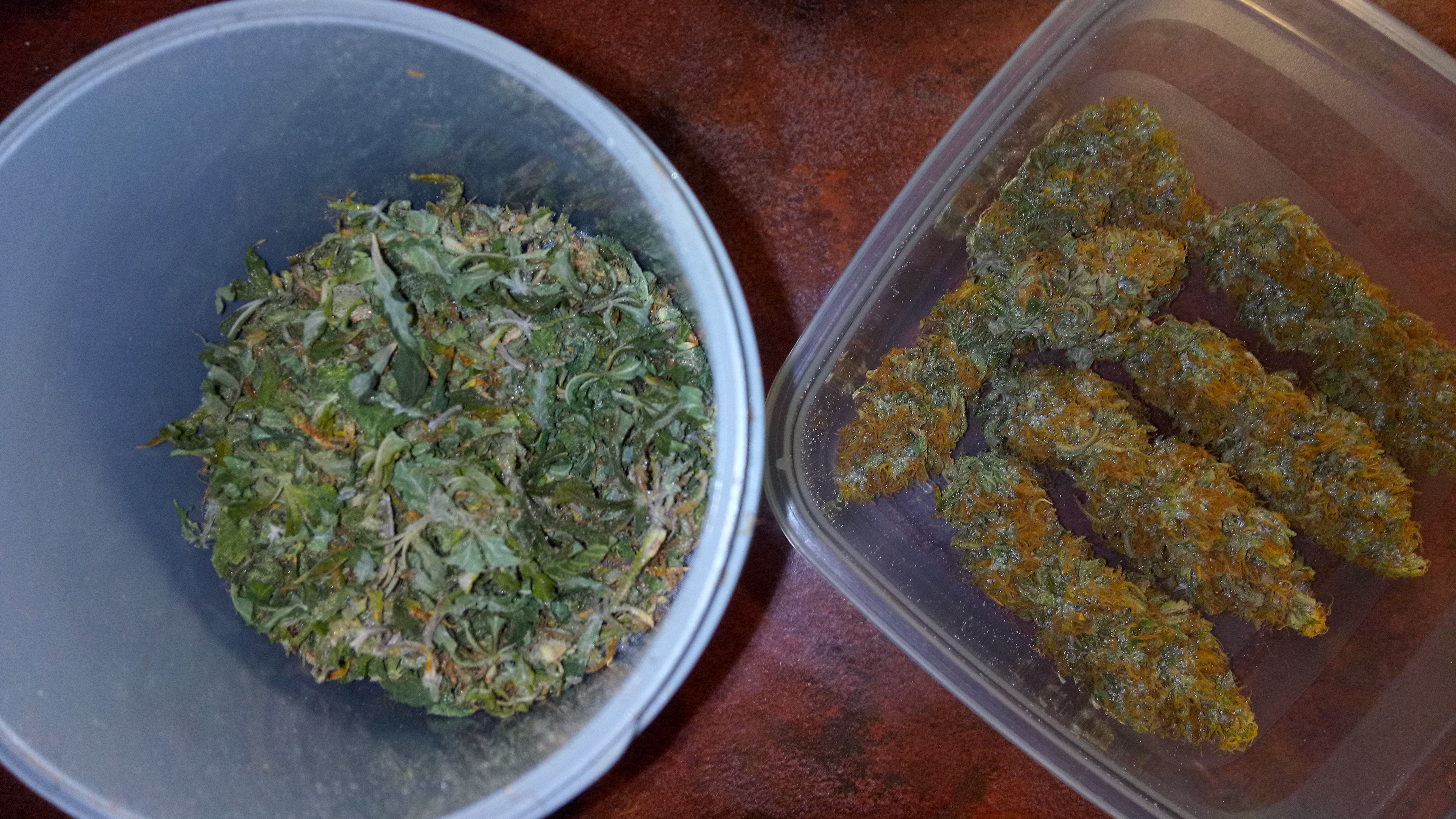 "Pink Kush Barneys"