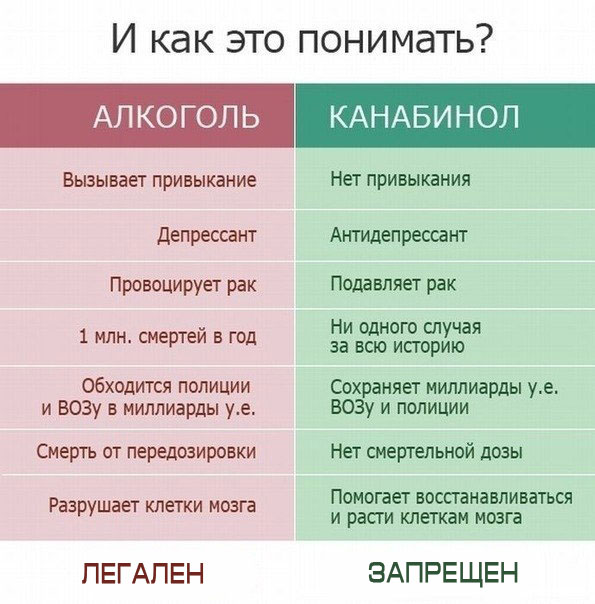 Почему люди считают коноплю лучше алкоголя