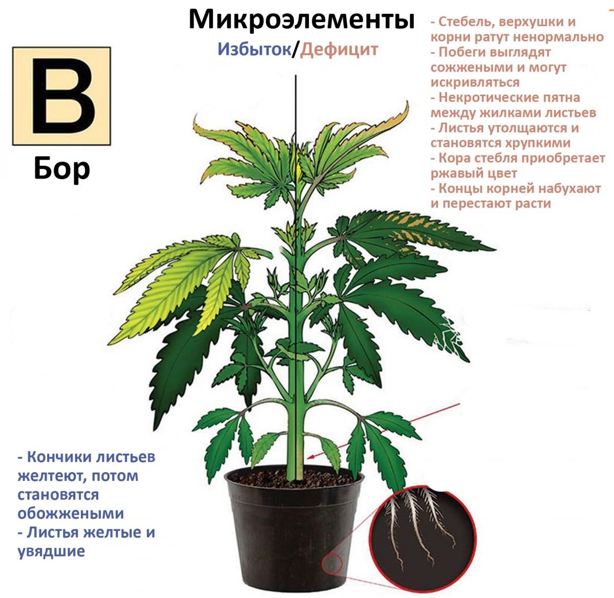 post 40850 0 35117400 1453567836