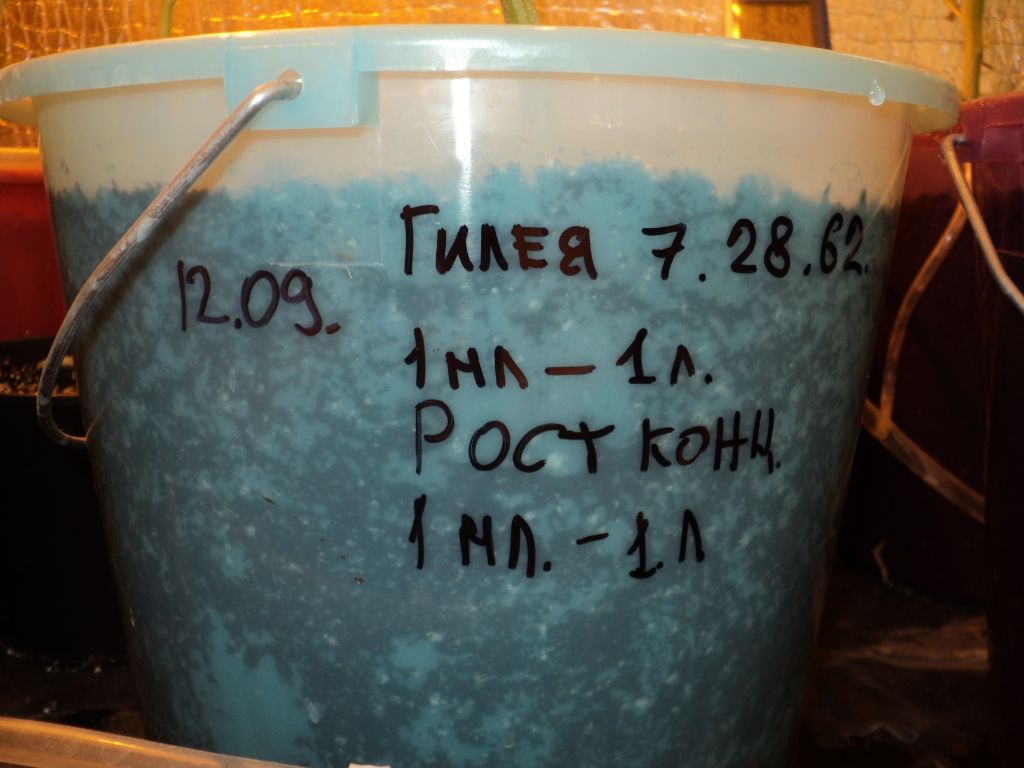 пп
