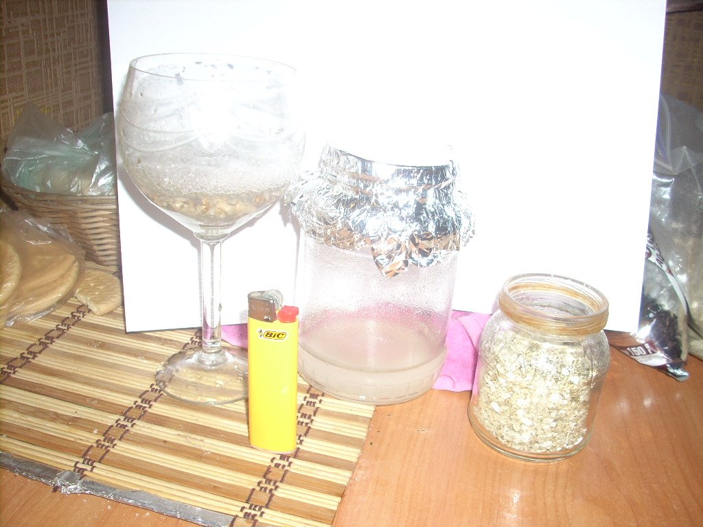 Psilocybe Galindoi
