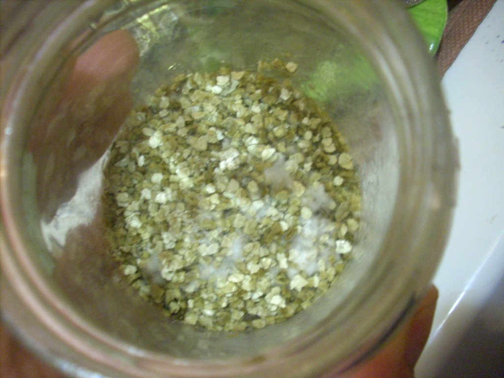 Psilocybe Galindoi