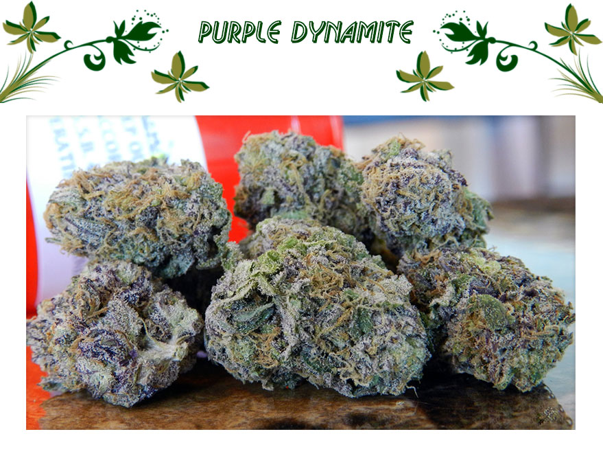 Purple Dynamite